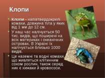 Клопи - напівтвердокрилі комахи, довжина тіла у яких від 1 мм до 12 см. У наш...
