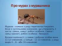 Мурахи – комахи з ряду перетинчастокрилих. Вони є суспільними комахами, що ут...