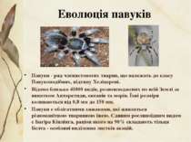 Павуки - ряд членистоногих тварин, що належать до класу Павукоподібних, підти...