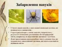 Є багато видів павуків, у яких наявні спеціальні лусочки, які називаються гуа...