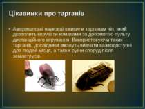 Американські науковці вживили тарганам чіп, який дозволить керувати комахами ...