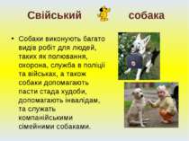 Собаки виконують багато видів робіт для людей, таких як полювання, охорона, с...