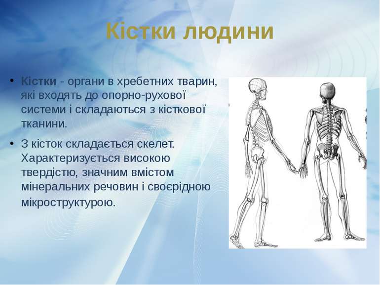 Кістки - органи в хребетних тварин, які входять до опорно-рухової системи і с...