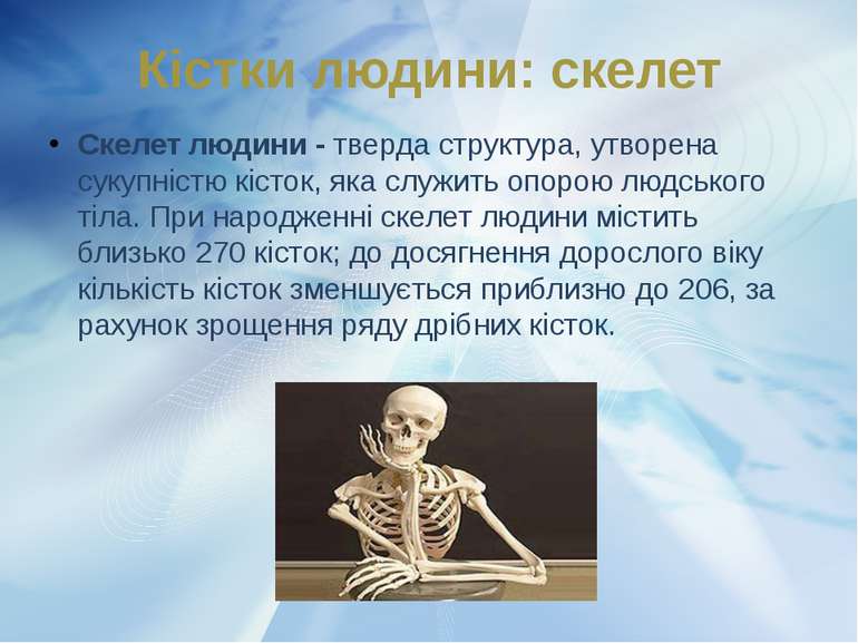 Кістки людини: скелет Скелет людини - тверда структура, утворена сукупністю к...