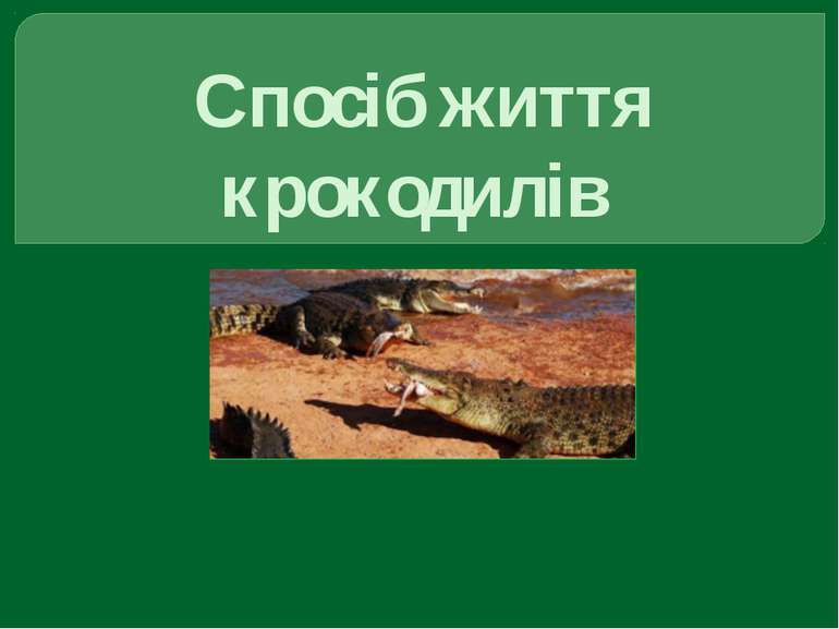 Спосіб життя крокодилів