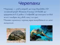 Черепахи — ряд плазунів, що існує впродовж 250 мільйонів років. Містить близь...