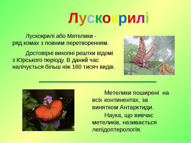 Лускокрилі або Метелики - ряд комах з повним перетворенням. Достовірні викопн...