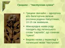 Грицики звичайні – однорічна або багаторічна зелена рослина родини Капустяних...