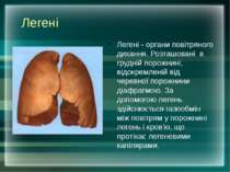 Легені Легені - органи повітряного дихання. Розташовані в грудній порожнині, ...