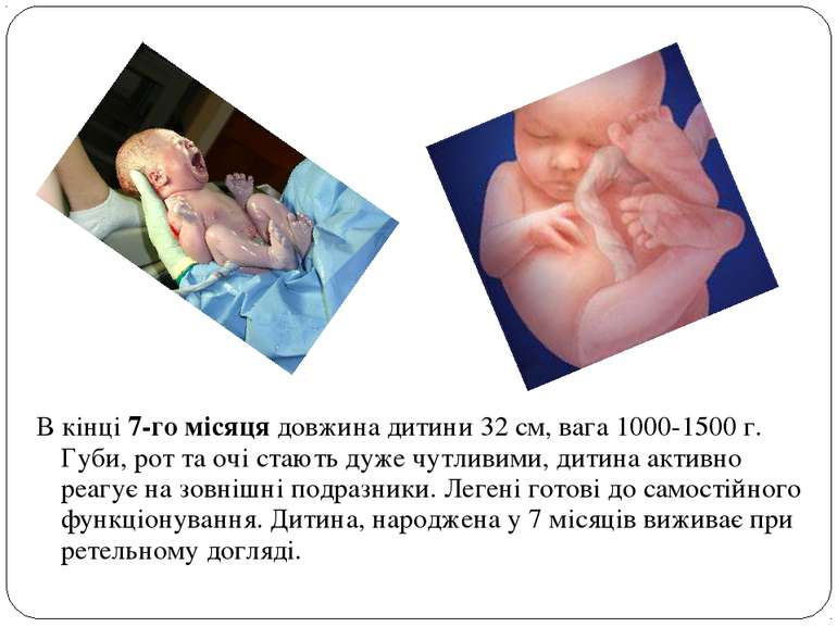 В кінці 7-го місяця довжина дитини 32 см, вага 1000-1500 г. Губи, рот та очі ...