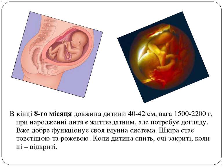 В кінці 8-го місяця довжина дитини 40-42 см, вага 1500-2200 г, при народженні...