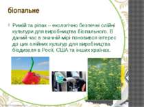 Рижій та ріпак – екологічно безпечні олійні культури для виробництва біопальн...