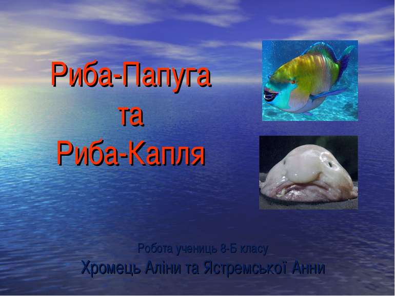 Риба-Папуга та Риба-Капля Робота учениць 8-Б класу Хромець Аліни та Ястремськ...