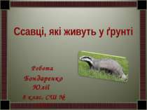 Ссавці, які живуть у ґрунті Робота Бондаренко Юлії 8 клас, СШ № 273