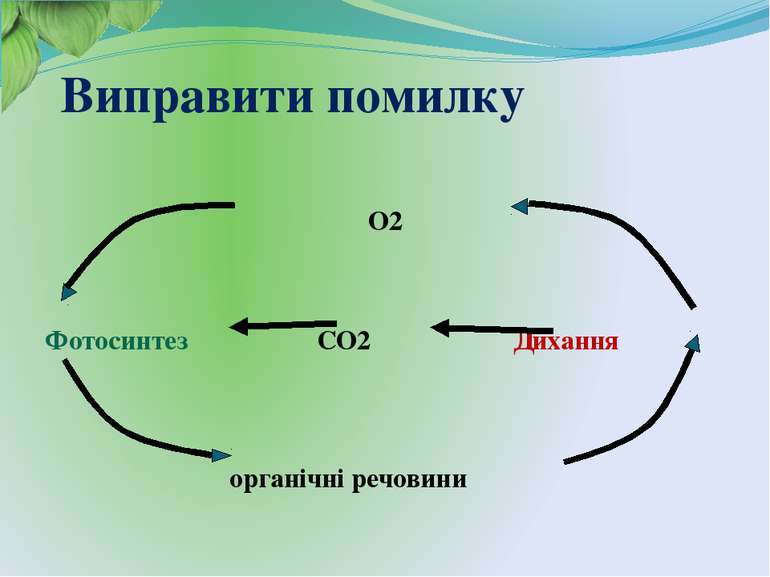 Виправити помилку О2 Фотосинтез СО2 Дихання органічні речовини