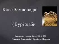 Бурі жаби Виконали учениці 8 кл. СШ № 273 Опятюк Анастасія і Брайчук Дарина К...