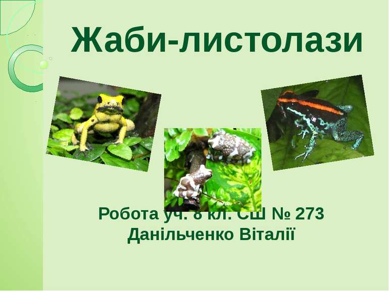 Жаби-листолази Робота уч. 8 кл. СШ № 273 Данільченко Віталії