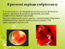 Критичні періоди ембріогенезу Ті ж шкідливості, що впливають на плід під час ...