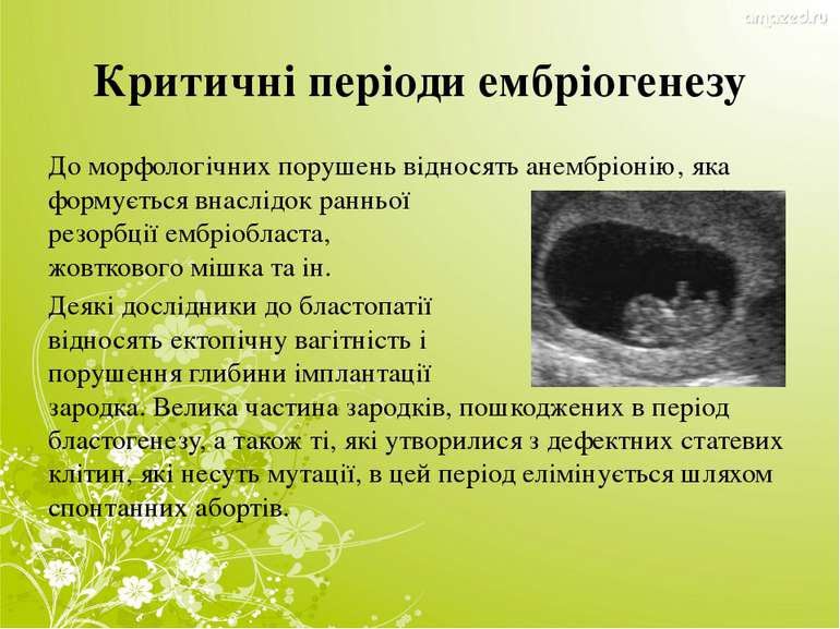 Критичні періоди ембріогенезу До морфологічних порушень відносять анембріонію...