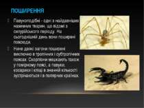 Павукоподібні - одні з найдавніших наземних тварин, що відомі з силурійського...
