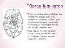 Згідно традиційній медицині Тибету, язик пов'язаний із серцем. Стан язика від...