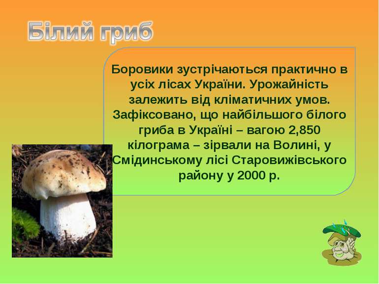 Боровики зустрічаються практично в усіх лісах України. Урожайність залежить в...