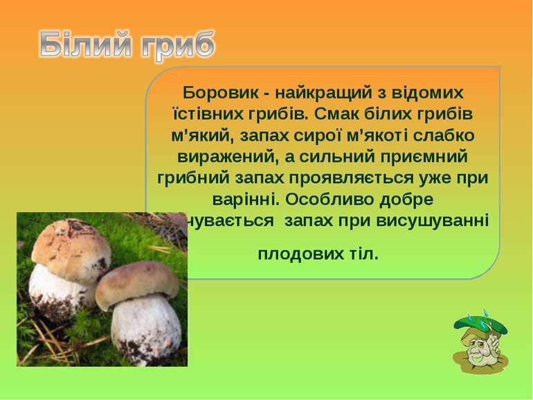 Боровик - найкращий з відомих їстівних грибів. Смак білих грибів м’який, запа...