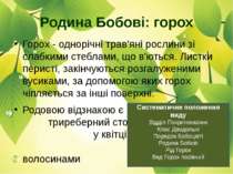 Горох - однорічні трав'яні рослини зі слабкими стеблами, що в'ються. Листки п...