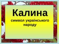 Калина-символ українського народу