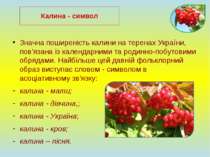 Значна поширеність калини на теренах України, пов'язана із календарними та ро...