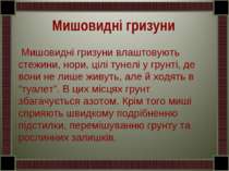 Мишовидні гризуни влаштовують стежини, нори, цілі тунелі у грунті, де вони не...