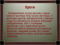 Кроти Забарвлення хутра матово-чорне, нижня частина тіла трохи світліша. У мо...