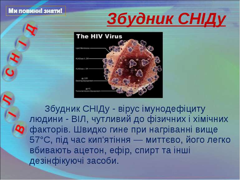 Збудник СНІДу - вірус імунодефіциту людини - ВІЛ, чутливий до фізичних і хімі...
