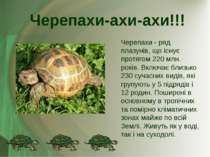 Черепахи - ряд плазунів, що існує протягом 220 млн. років. Включає близько 23...