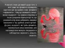 А взагалі, існує дві версії щодо того, з якої саме їжі фламінго отримують кар...