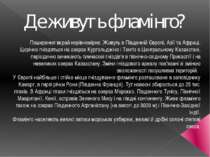 Де живуть фламінго? Поширення вкрай нерівномірне. Живуть в Південній Європі, ...