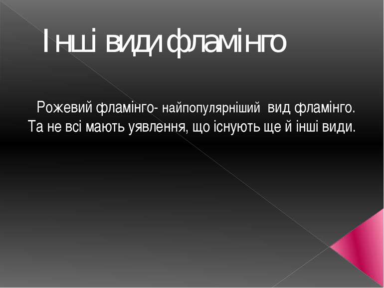 Інші види фламінго Рожевий фламінго- найпопулярніший вид фламінго. Та не всі ...