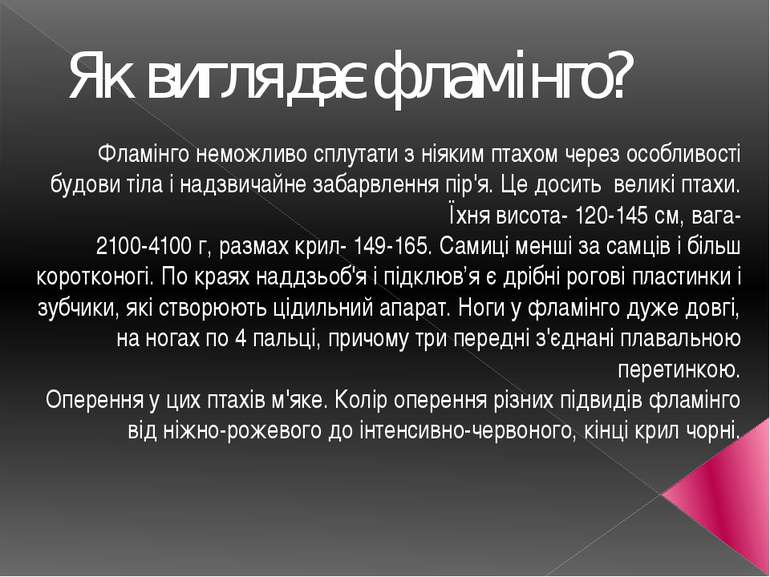 Як виглядає фламінго? Фламінго неможливо сплутати з ніяким птахом через особл...