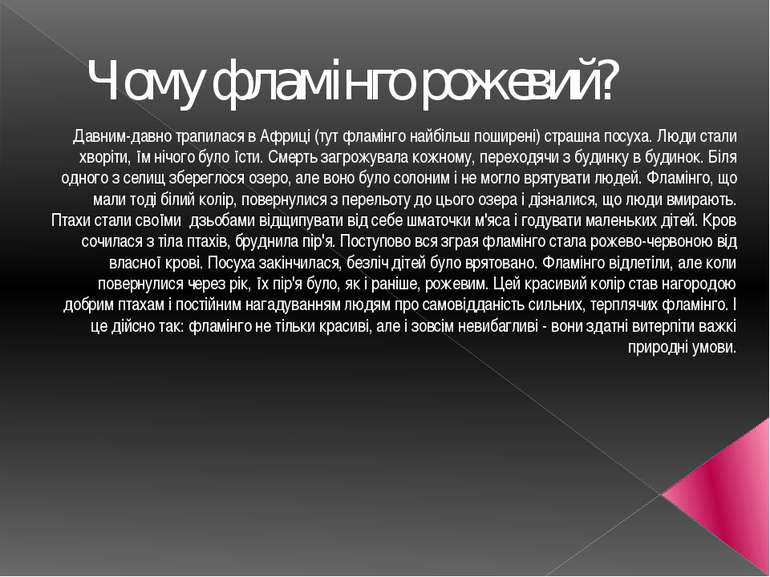 Чому фламiнго рожевий? Давним-давно трапилася в Африці (тут фламінго найбільш...