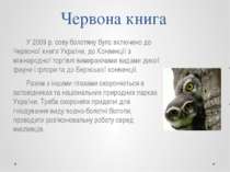 Червона книга У 2009 р. сову болотяну було включено до Червоної книги України...