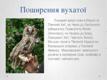 Поширення вухатої Поширені вухаті сови в Європі та Північній Азії, на північ ...