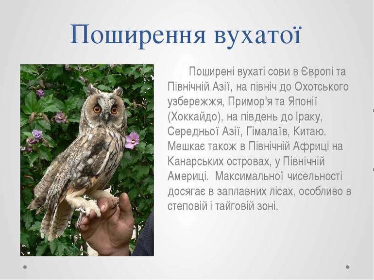 Поширення вухатої Поширені вухаті сови в Європі та Північній Азії, на північ ...