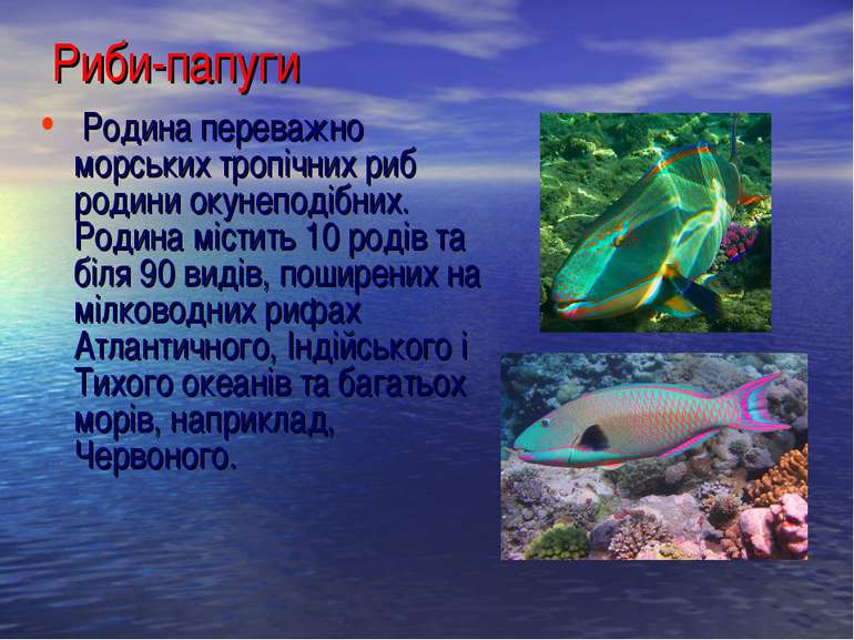 Риби-папуги Родина переважно морських тропічних риб родини окунеподібних. Род...