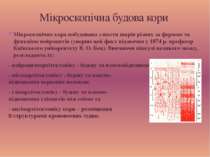 Мікроскопічно кора побудована з шести шарів різних за формою та функцією нейр...