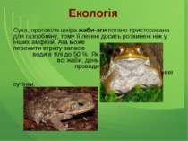 Екологія Суха, ороговіла шкіра жаби-аги погано пристосована для газообміну, т...