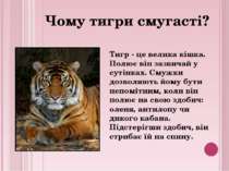 Тигр - це велика кішка. Полює він зазвичай у сутінках. Смужки дозволяють йому...