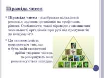 Піраміда чисел Піраміда чисел - відображає кількісний розподіл окремих органі...