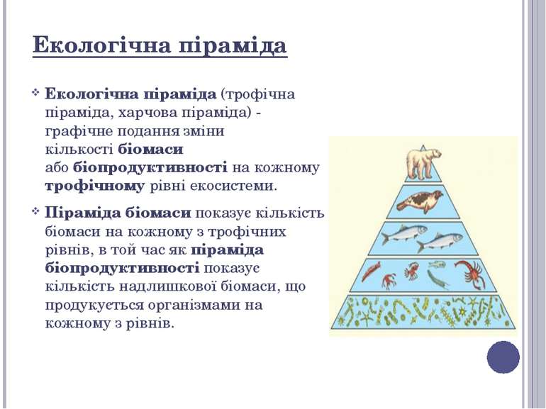 Екологічна піраміда Екологічна піраміда (трофічна піраміда, харчова піраміда)...