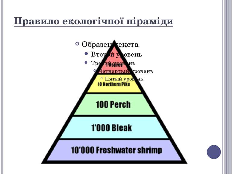 Правило екологічної піраміди