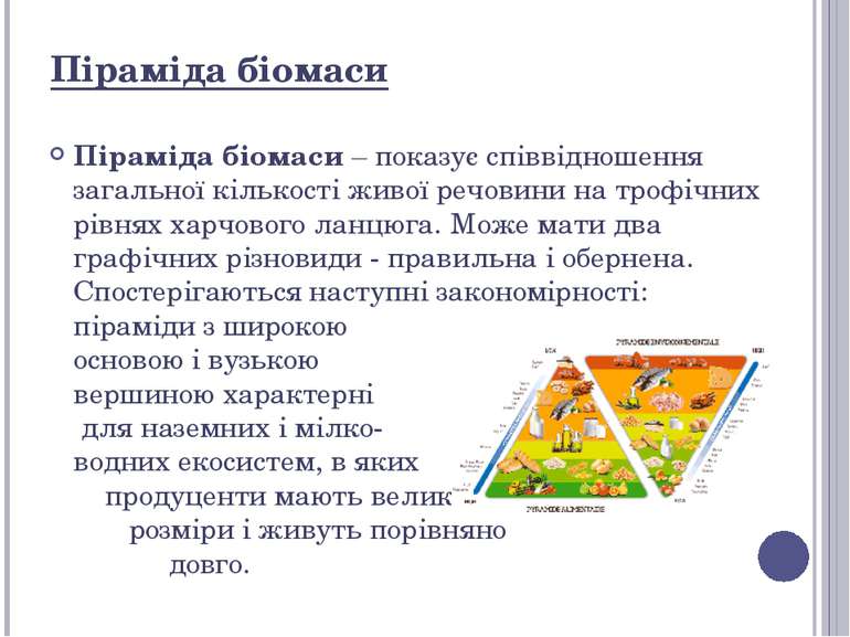 Піраміда біомаси – показує співвідношення загальної кількості живої речовини ...